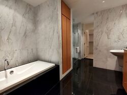 The Colonnade (D10), Condominium #343403351